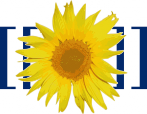 mediawiki-97869_640